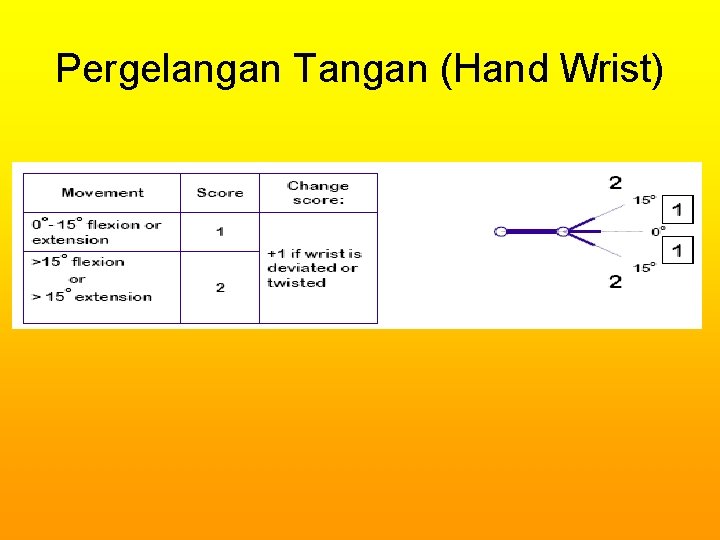 Pergelangan Tangan (Hand Wrist) 