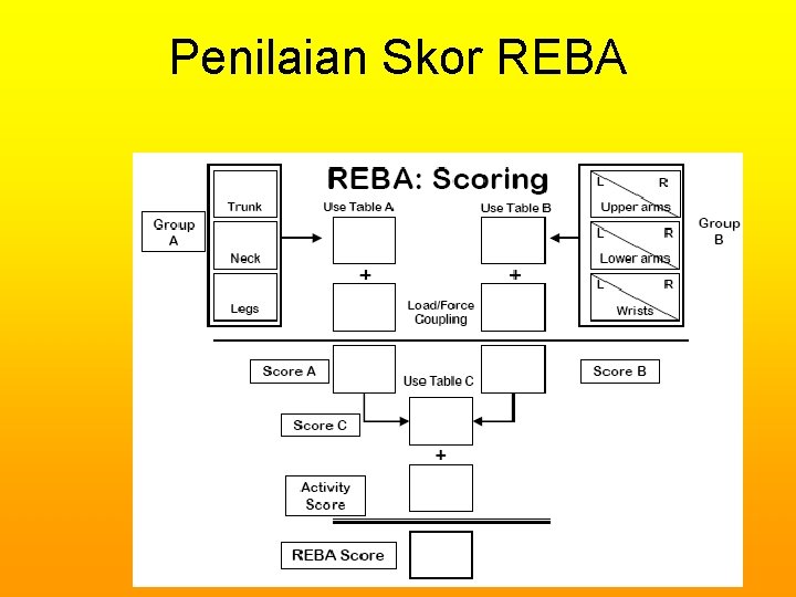 Penilaian Skor REBA 