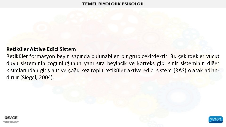 Retiküler Aktive Edici Sistem Retiküler formasyon beyin sapında bulunabilen bir grup çekirdektir. Bu çekirdekler