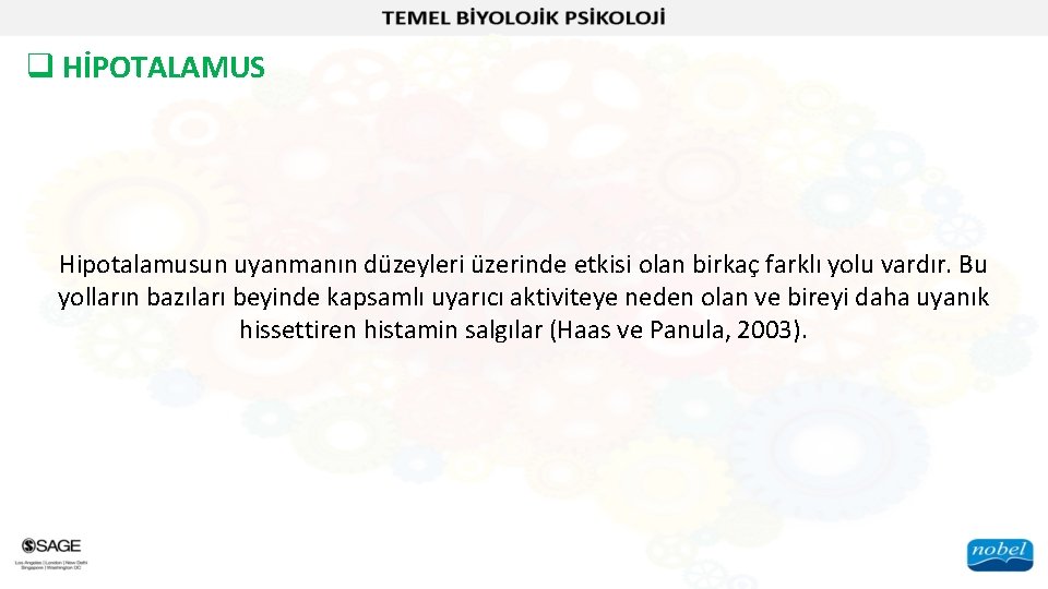 q HİPOTALAMUS Hipotalamusun uyanmanın düzeyleri üzerinde etkisi olan birkaç farklı yolu vardır. Bu yolların