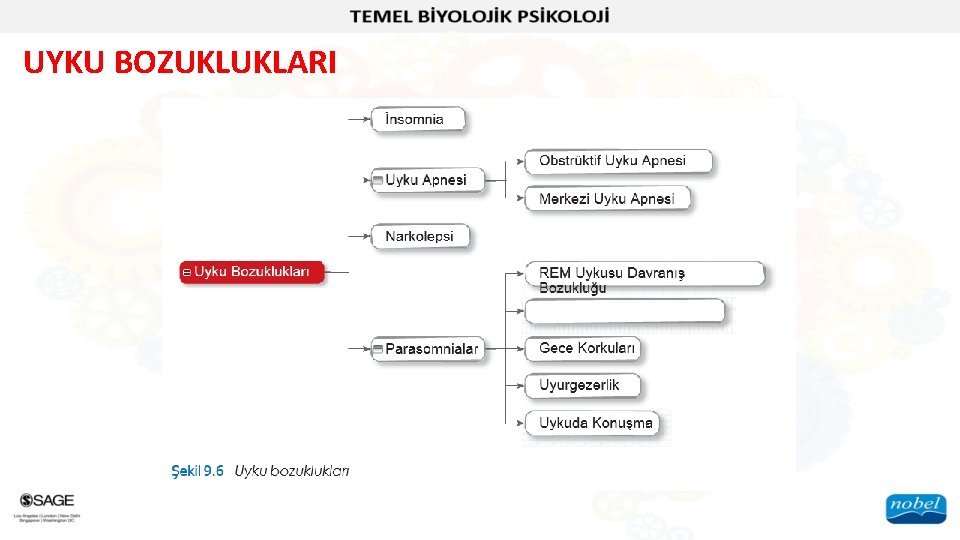 UYKU BOZUKLUKLARI 