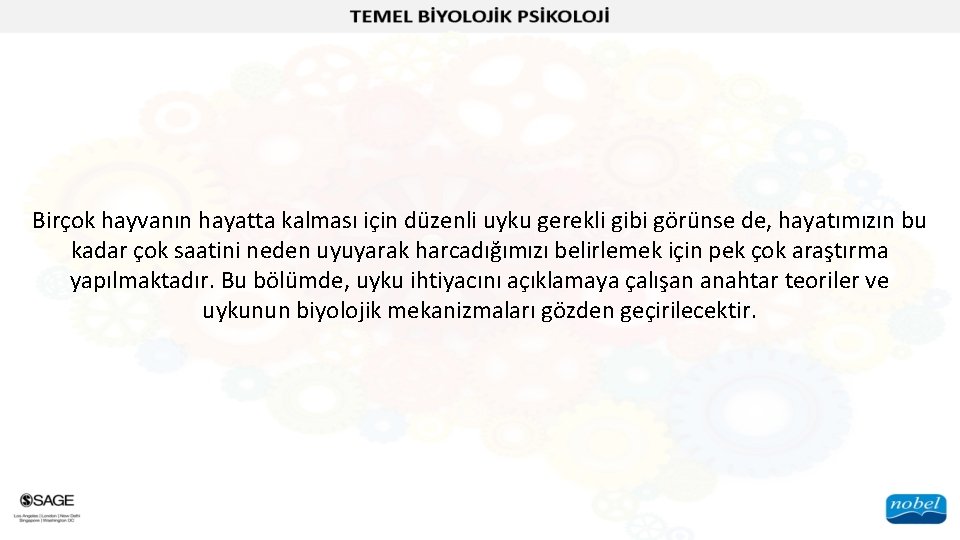 Birçok hayvanın hayatta kalması için düzenli uyku gerekli gibi görünse de, hayatımızın bu kadar