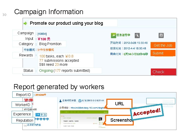 30 Campaign Information Promote our product using your blog Campaign ID Input Money Category