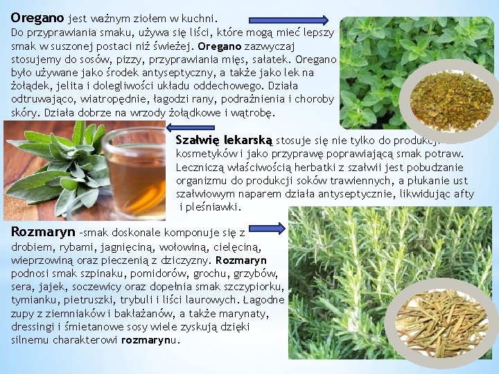 Oregano jest ważnym ziołem w kuchni. Do przyprawiania smaku, używa się liści, które mogą