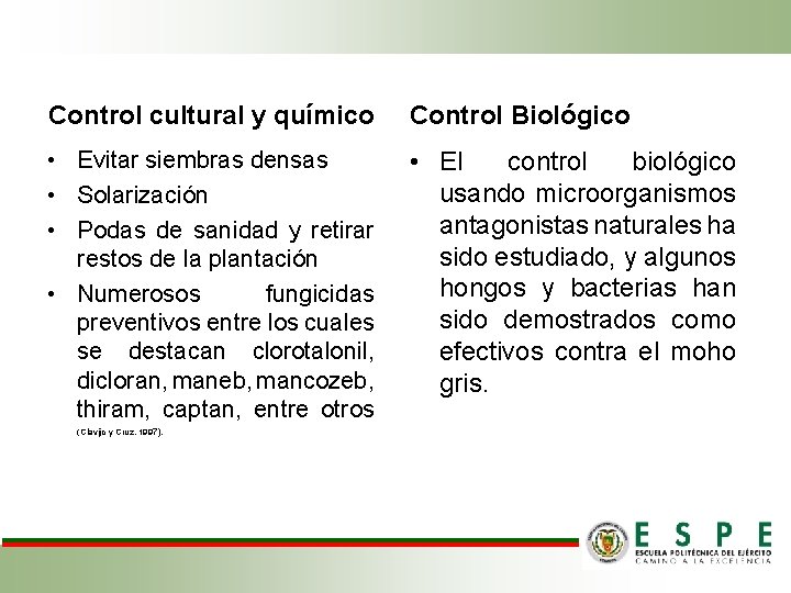 Control cultural y químico Control Biológico • Evitar siembras densas • Solarización • Podas