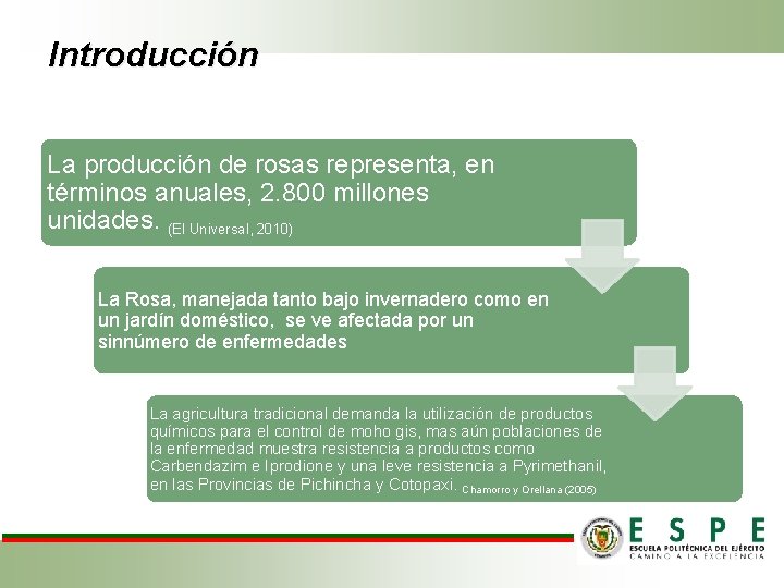 Introducción La producción de rosas representa, en términos anuales, 2. 800 millones unidades. (El