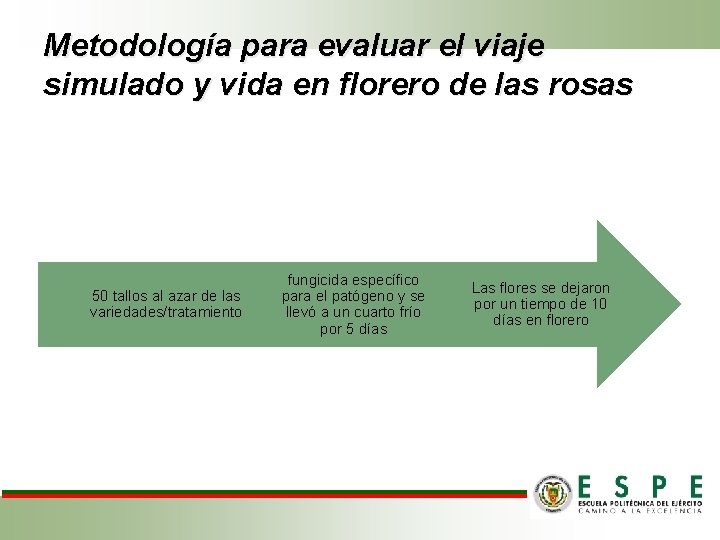 Metodología para evaluar el viaje simulado y vida en florero de las rosas 50