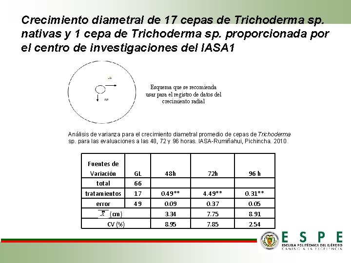 Crecimiento diametral de 17 cepas de Trichoderma sp. nativas y 1 cepa de Trichoderma