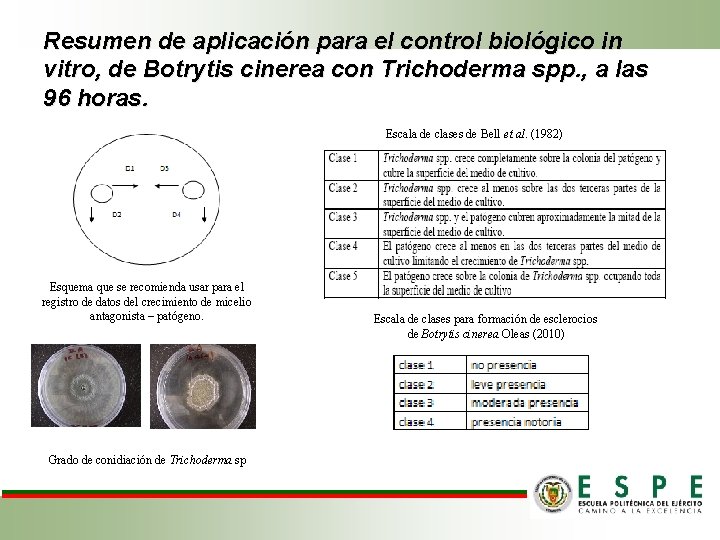 Resumen de aplicación para el control biológico in vitro, de Botrytis cinerea con Trichoderma