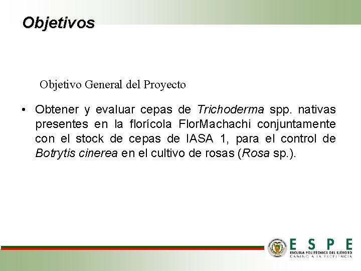 Objetivos Objetivo General del Proyecto • Obtener y evaluar cepas de Trichoderma spp. nativas