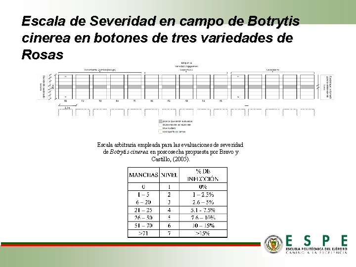 Escala de Severidad en campo de Botrytis cinerea en botones de tres variedades de