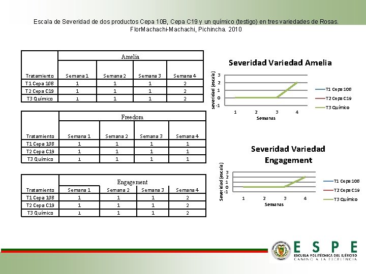 Escala de Severidad de dos productos Cepa 10 B, Cepa C 19 y un