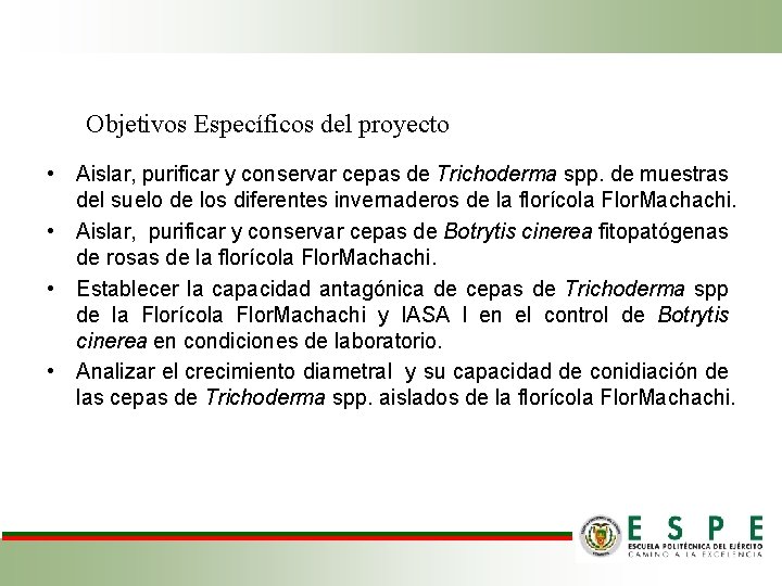 Objetivos Específicos del proyecto • Aislar, purificar y conservar cepas de Trichoderma spp. de