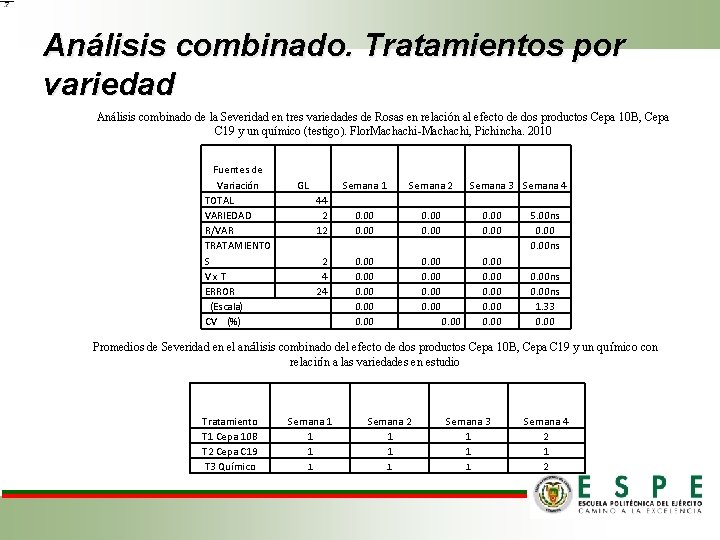 Análisis combinado. Tratamientos por variedad Análisis combinado de la Severidad en tres variedades de