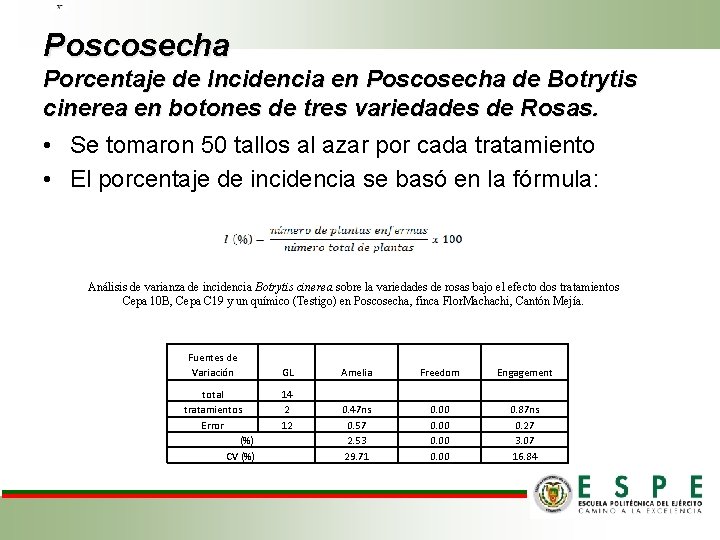 Poscosecha Porcentaje de Incidencia en Poscosecha de Botrytis cinerea en botones de tres variedades