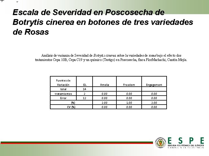 Escala de Severidad en Poscosecha de Botrytis cinerea en botones de tres variedades de