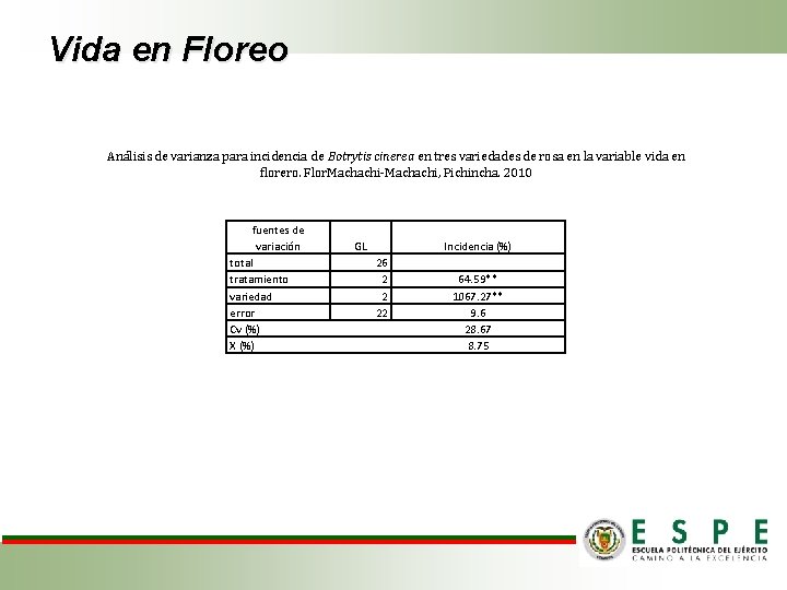 Vida en Floreo Análisis de varianza para incidencia de Botrytis cinerea en tres variedades