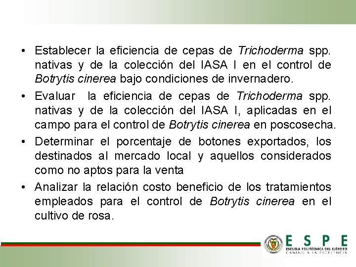 • Establecer la eficiencia de cepas de Trichoderma spp. nativas y de la
