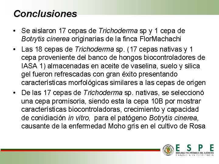 Conclusiones • Se aislaron 17 cepas de Trichoderma sp y 1 cepa de Botrytis