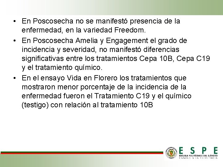  • En Poscosecha no se manifestó presencia de la enfermedad, en la variedad
