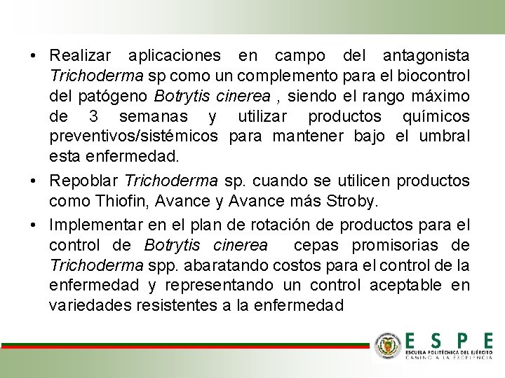  • Realizar aplicaciones en campo del antagonista Trichoderma sp como un complemento para