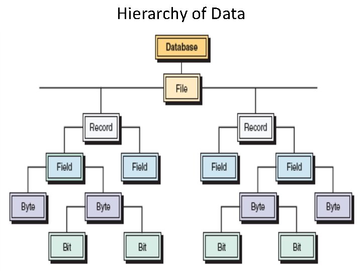Hierarchy of Data 
