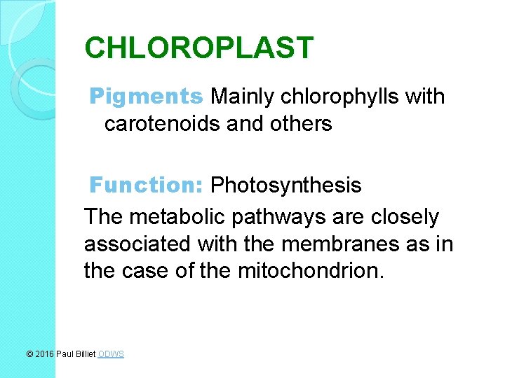 CHLOROPLAST Pigments Mainly chlorophylls with carotenoids and others Function: Photosynthesis The metabolic pathways are