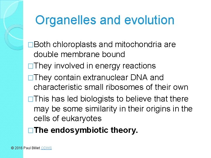 Organelles and evolution �Both chloroplasts and mitochondria are double membrane bound �They involved in