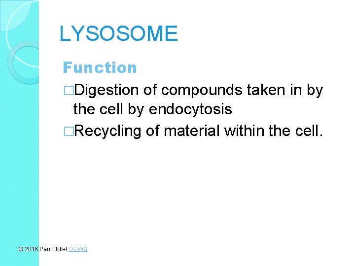 LYSOSOME Function �Digestion of compounds taken in by the cell by endocytosis �Recycling of
