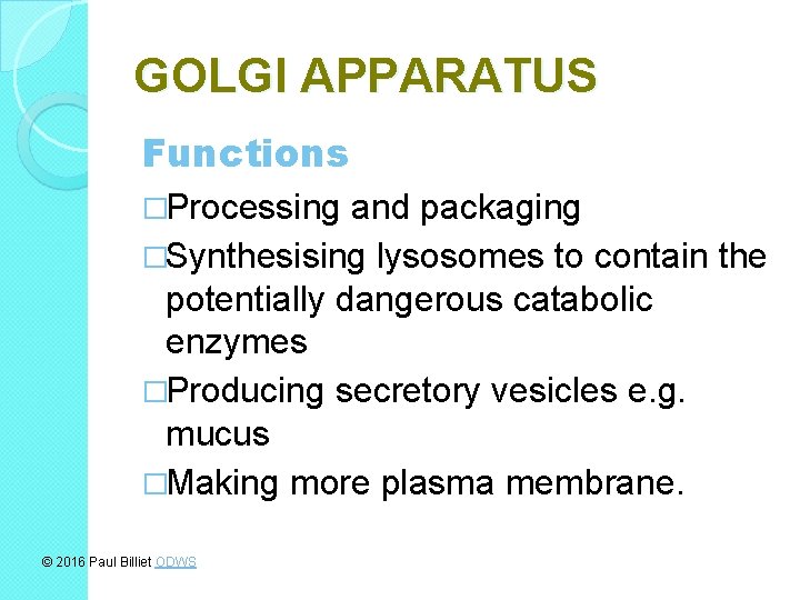 GOLGI APPARATUS Functions �Processing and packaging �Synthesising lysosomes to contain the potentially dangerous catabolic