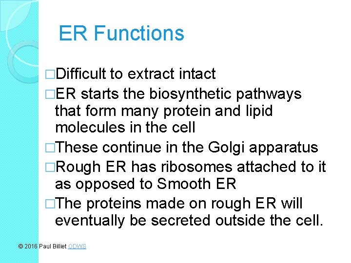 ER Functions �Difficult to extract intact �ER starts the biosynthetic pathways that form many