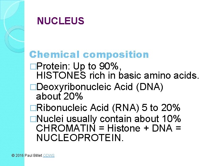 NUCLEUS Chemical composition �Protein: Up to 90%, HISTONES rich in basic amino acids. �Deoxyribonucleic