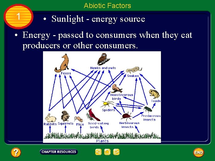 Abiotic Factors 1 • Sunlight - energy source • Energy - passed to consumers
