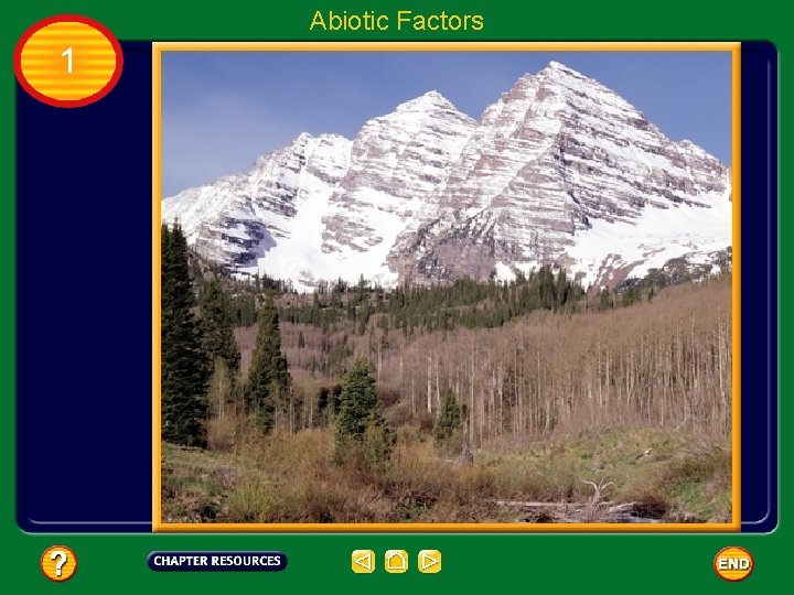 Abiotic Factors 1 