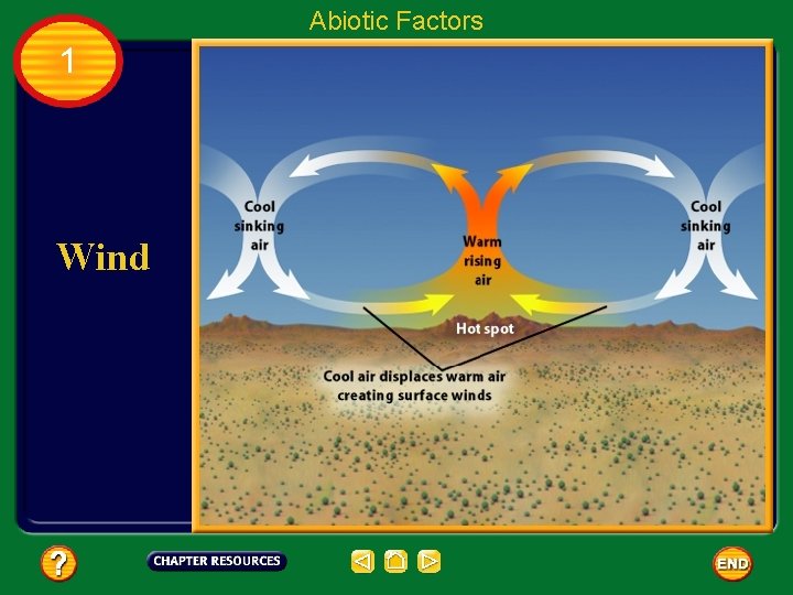 Abiotic Factors 1 Wind 