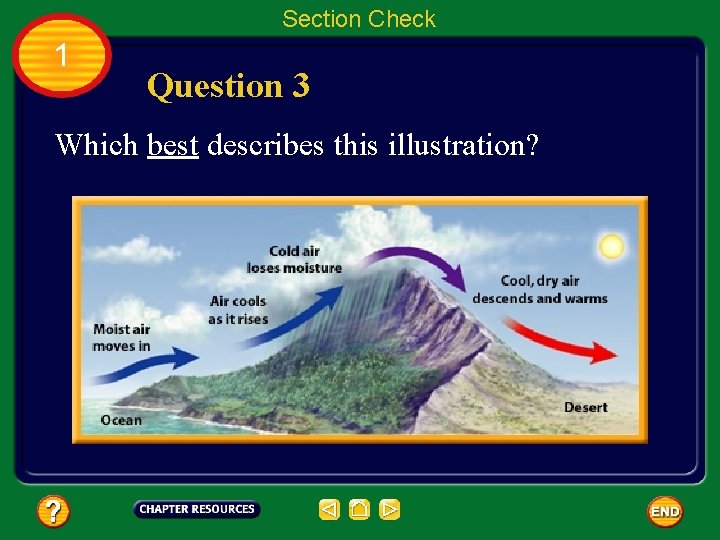 Section Check 1 Question 3 Which best describes this illustration? 