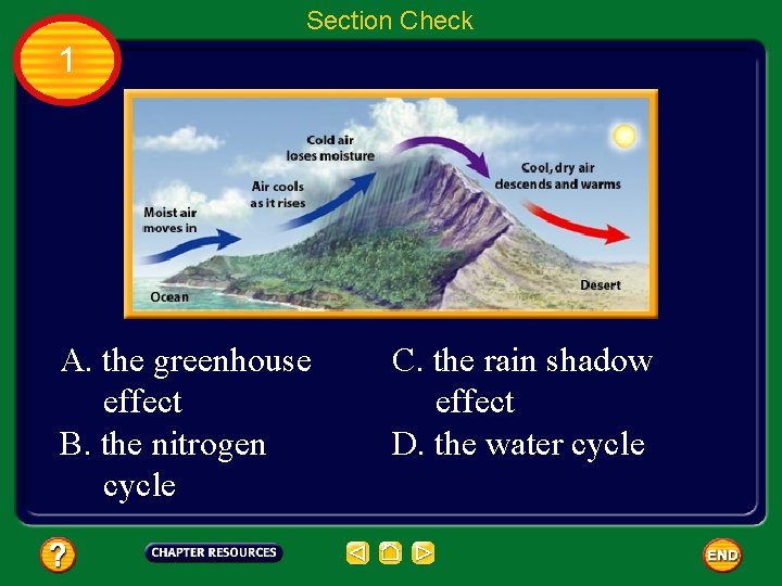 Section Check 1 A. the greenhouse effect B. the nitrogen cycle C. the rain