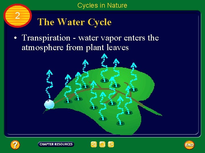 Cycles in Nature 2 The Water Cycle • Transpiration - water vapor enters the
