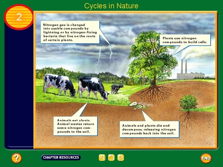 Cycles in Nature 2 The Nitrogen Cycle 