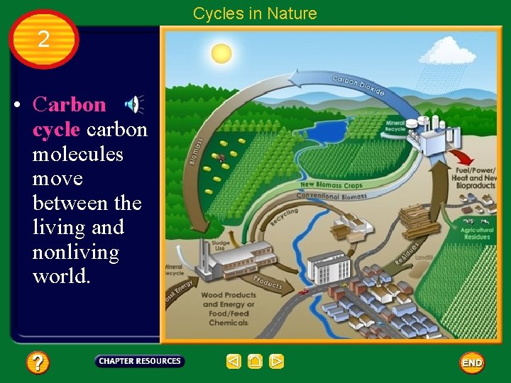 Cycles in Nature 2 • Carbon cycle carbon molecules move between the living and