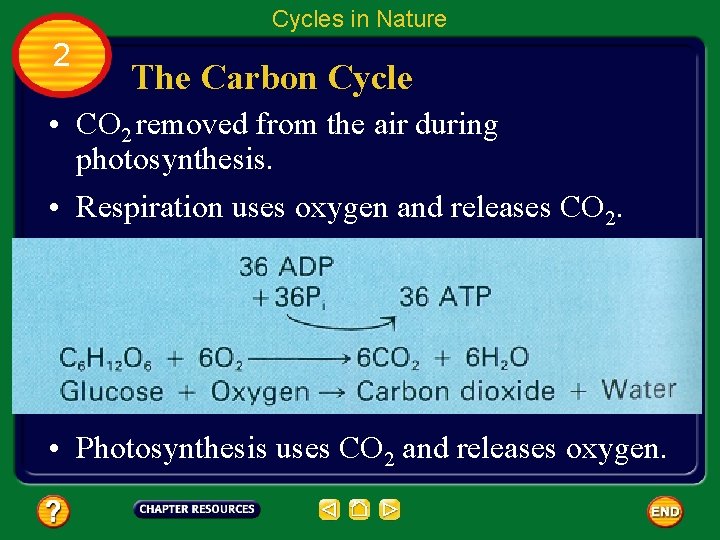 Cycles in Nature 2 The Carbon Cycle • CO 2 removed from the air