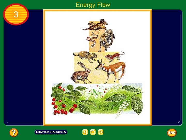 Energy Flow 3 