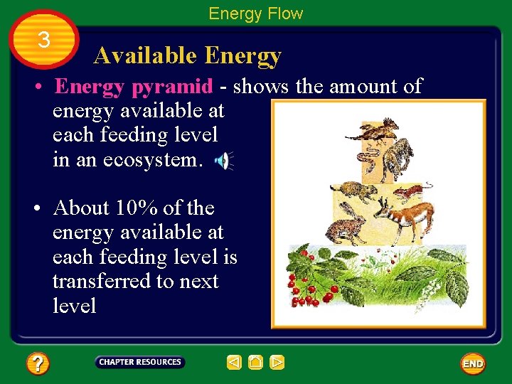 Energy Flow 3 Available Energy • Energy pyramid - shows the amount of energy
