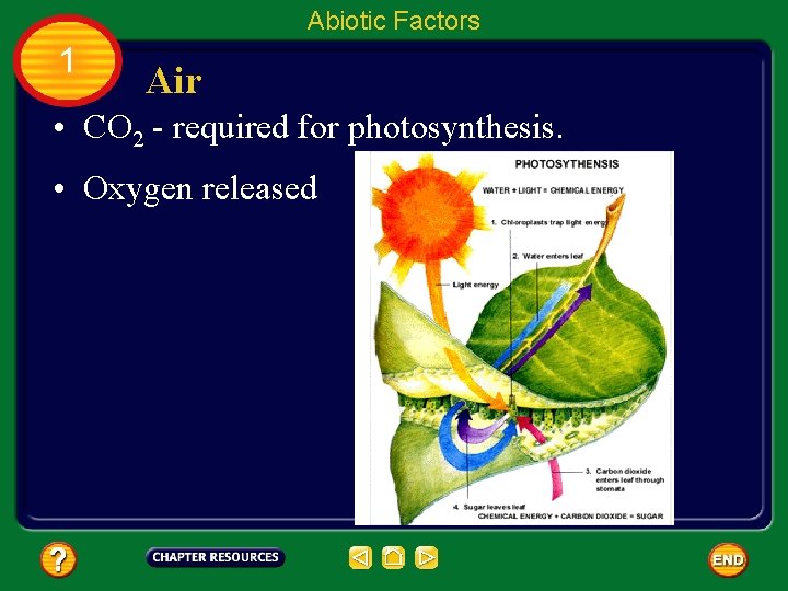 Abiotic Factors 1 Air • CO 2 - required for photosynthesis. • Oxygen released
