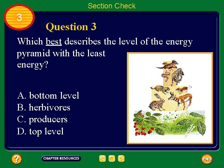 Section Check 3 Question 3 Which best describes the level of the energy pyramid