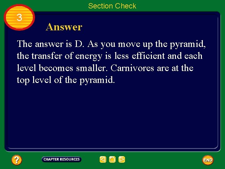 Section Check 3 Answer The answer is D. As you move up the pyramid,