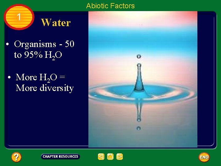 Abiotic Factors 1 Water • Organisms - 50 to 95% H 2 O •