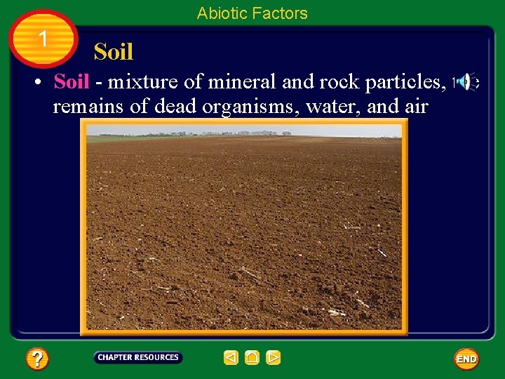 Abiotic Factors 1 Soil • Soil - mixture of mineral and rock particles, the