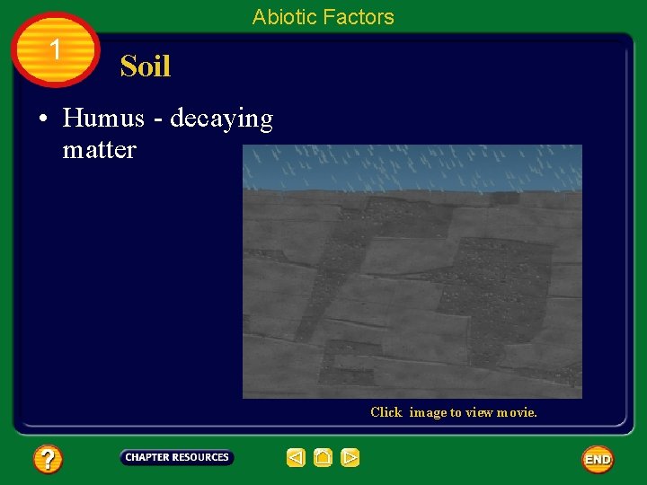 Abiotic Factors 1 Soil • Humus - decaying matter Click image to view movie.