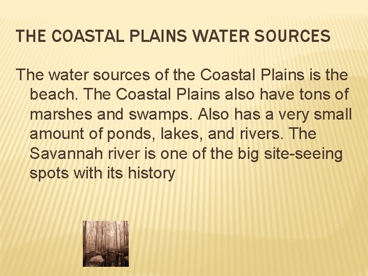 THE COASTAL PLAINS WATER SOURCES The water sources of the Coastal Plains is the